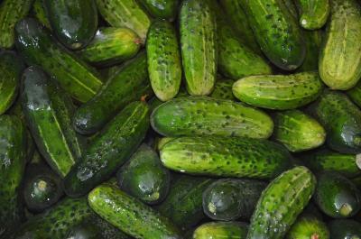 Know Your Food: Cucumbers