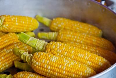 Know Your Food: Corn