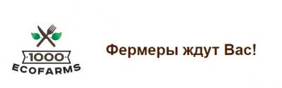 Запущена Бета-версия сайта
