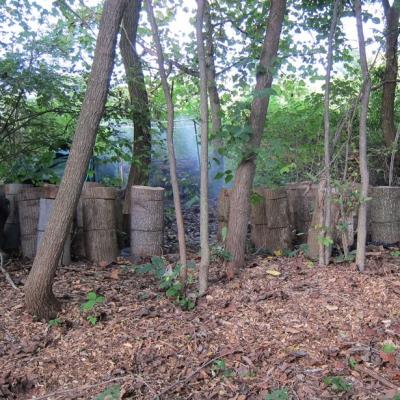 Food Forest Feast at Forested Farm in Bowie, Maryland