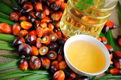 Продукцию, содержащую пальмовое масло, обозначат специальной маркировкой