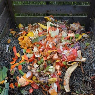 Food Waste On the Farm and How We All Can Help Avoid It