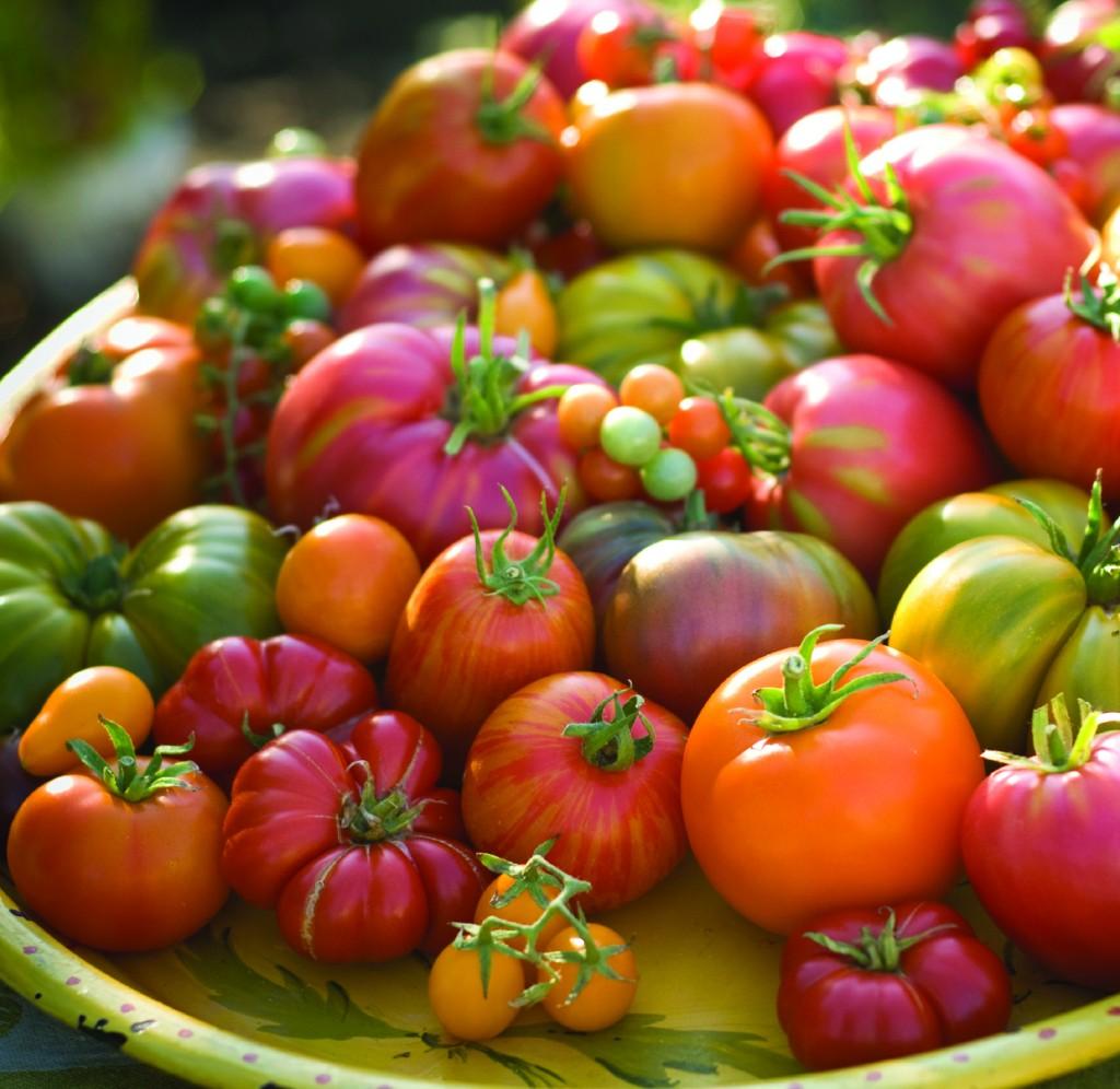 Источник: fabufit.co.za/the-superfood-series-tomatoes