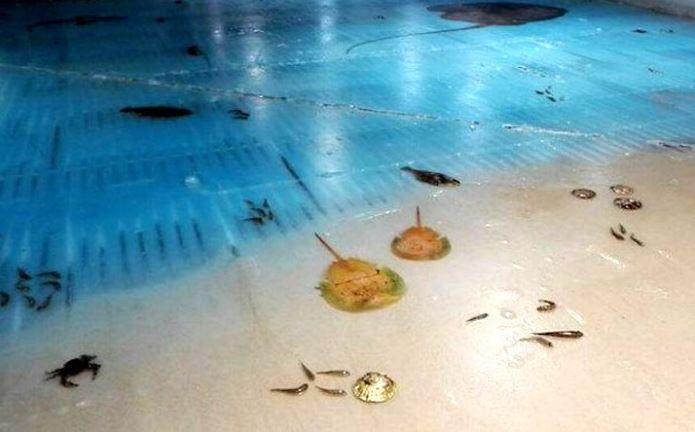 Источник: www.kulturologia.ru/blogs/291116/32429/ Источник: www.kulturologia.ru/blogs/291116/32429/