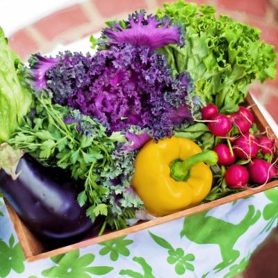 Organic Standards Board Votes to Exclude Next Generation GMOs 