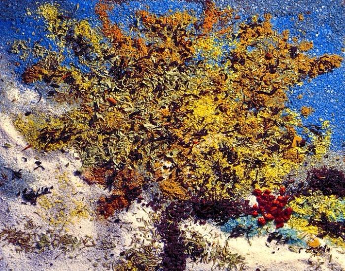 Источник: mymodernmet.com/painting-with-salts-and-spices/ Источник: mymodernmet.com/painting-with-salts-and-spices/
