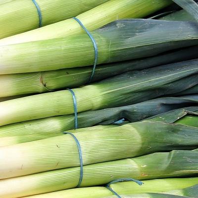 Know Your Food: Leeks