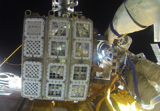 Источник: qz.com/909040/algae-and-cyanobacteria-survived-two Источник: qz.com/909040/algae-and-cyanobacteria-survived-two