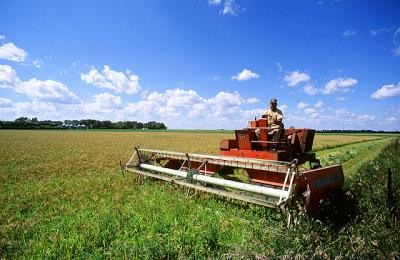 Review Study Indicates Organic Agriculture is Key to Feeding the World Sustainably