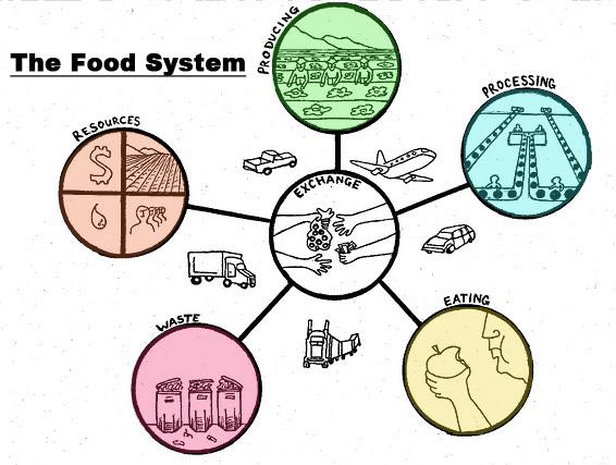What are Food Systems and why should you care about them?