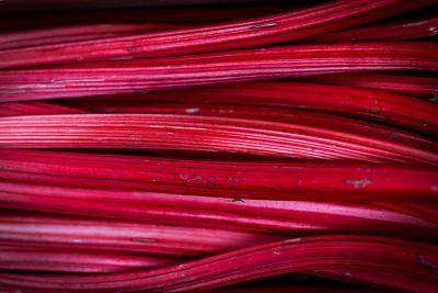Know Your Food: Rhubarb