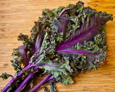 Know Your Food: Red Russian Kale