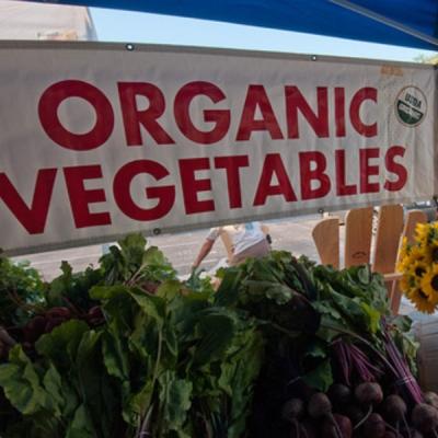 Certified Organic Farm Count Continues to Grow in the United States