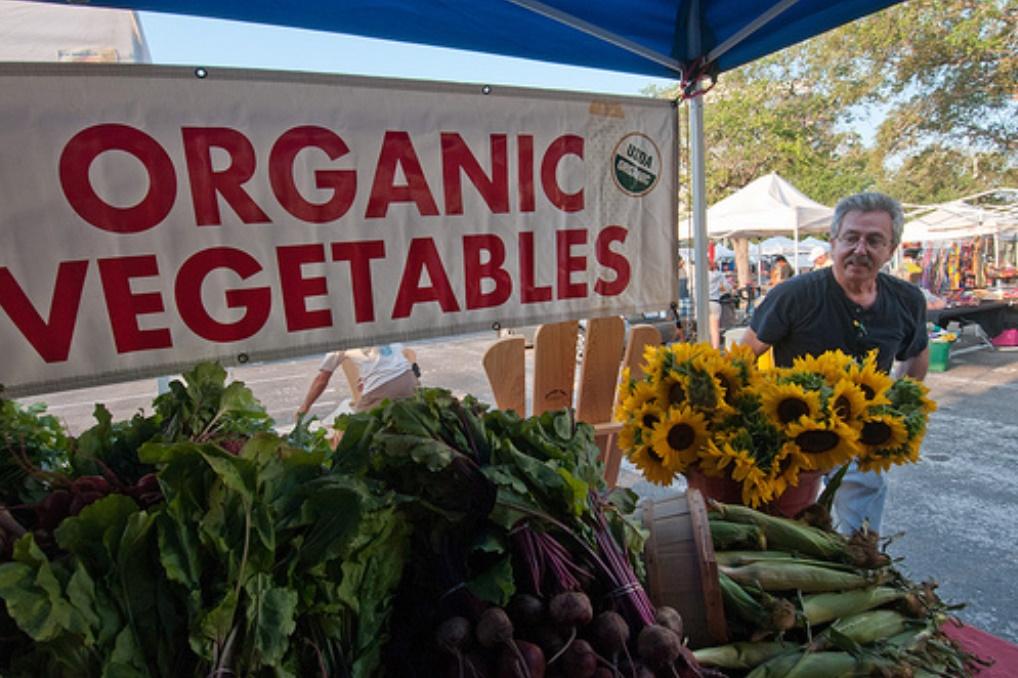 Organic Sales Soar - But Is All Good Food Organic?
