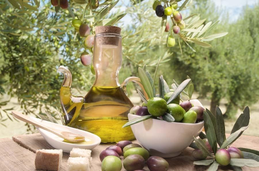 Источник: greekolive-oil.gr/en/olive-oil-export