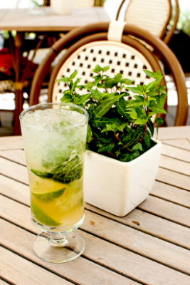 Know your food: Mint
