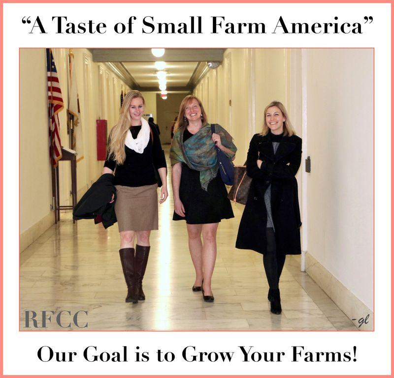 1000EcoFarms is helping break barriers for direct farm-to-consumer sales