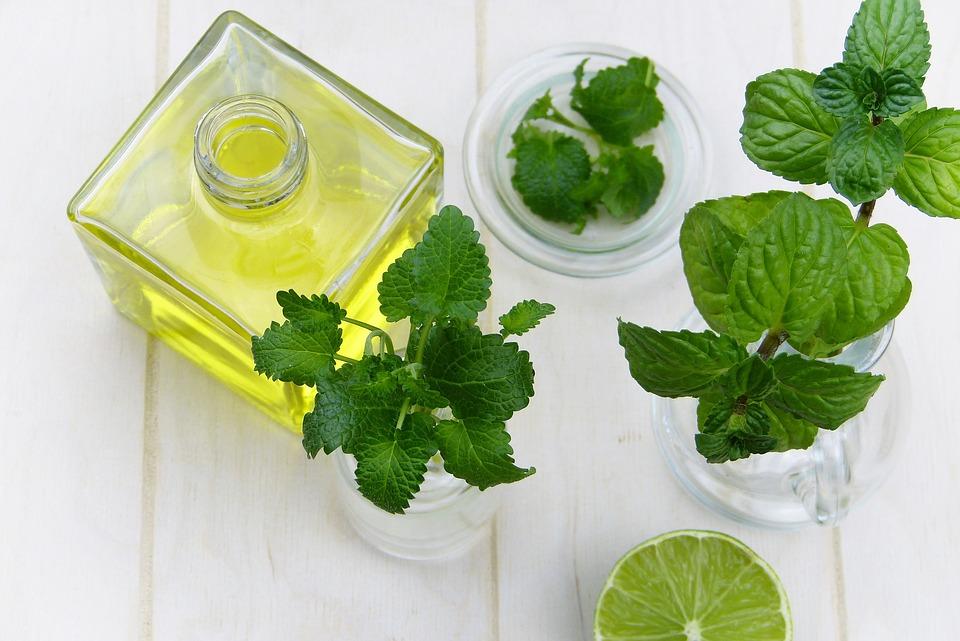 Источник: pixabay.com/photos/leaf-mint-herb-healthy-food-oil