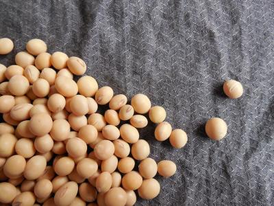 Know your food: Soy