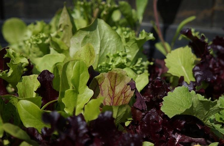 Источник: www.pixabay.com Источник: www.pixabay.com