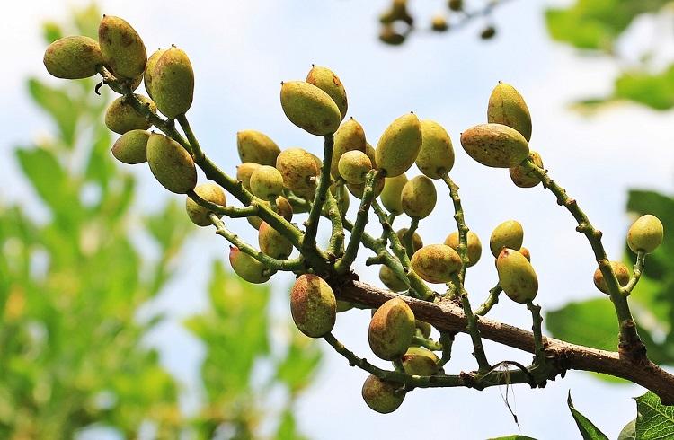 Источник: www.pixabay.com Источник: www.pixabay.com