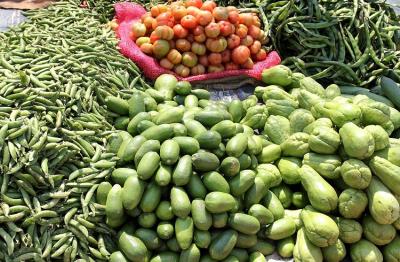 В России появится «зеленая» продукция