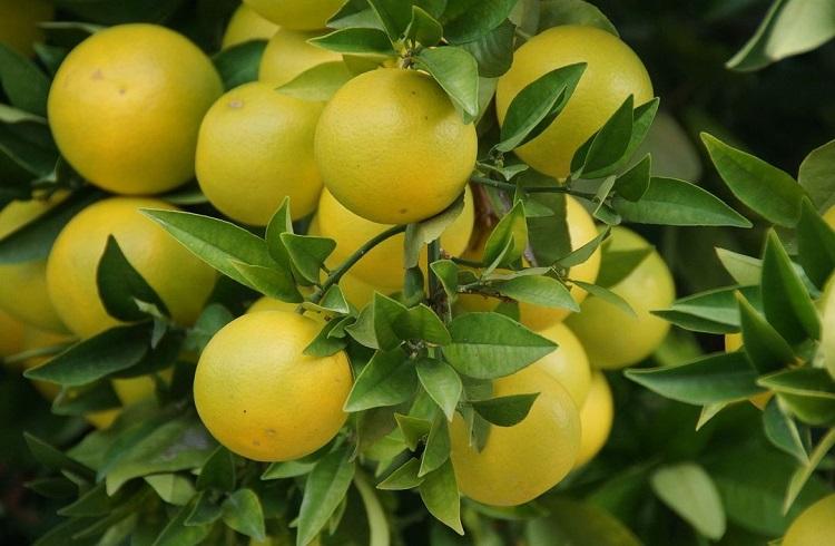 Источник: www.pixabay.com Источник: www.pixabay.com