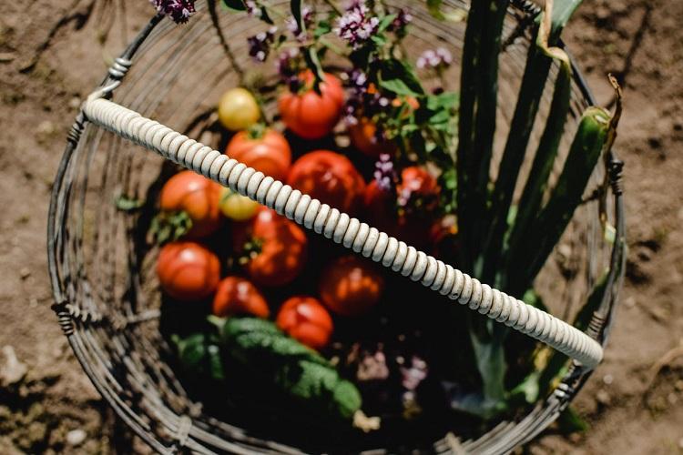 Источник: www.pexels.com Источник: www.pexels.com