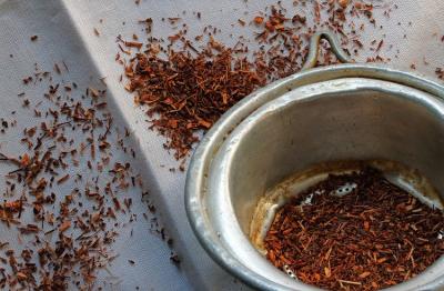 Чай Ханибуш: особенности и польза медового чая