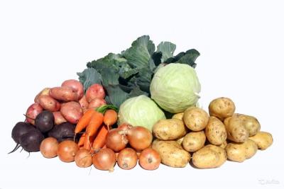 Овощи: лук, капуста, картофель, морковь, свекла