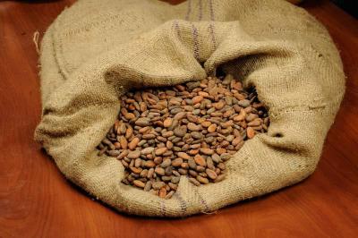 какао-бобы сорта форастеро (Гана) - 500 гр