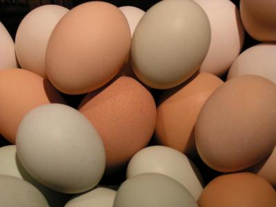 Chicken Eggs (pasture, soy/gmo free)