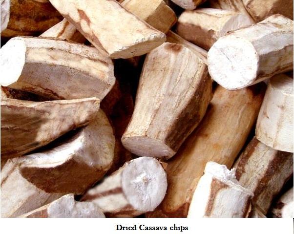 Dried Cassava chips