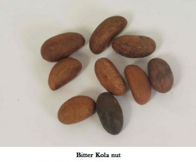 kola nut