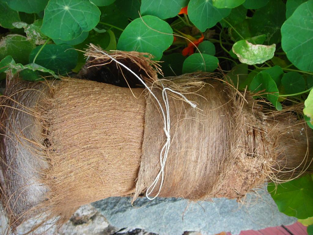 Palm tree fibre deals