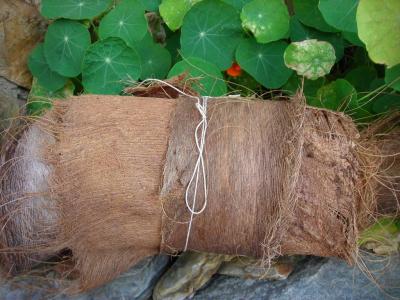 Coconut Palm Bark Fiber Varied sizes shapes and textures 4full oz