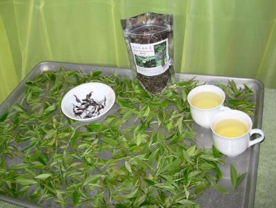 Organic White Tea