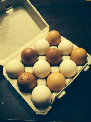 Eggs - Large