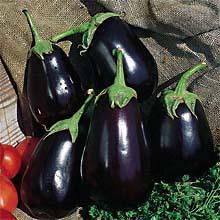 Nadia Black Italian Eggplant