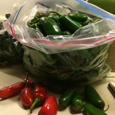 Jalepeno peppers