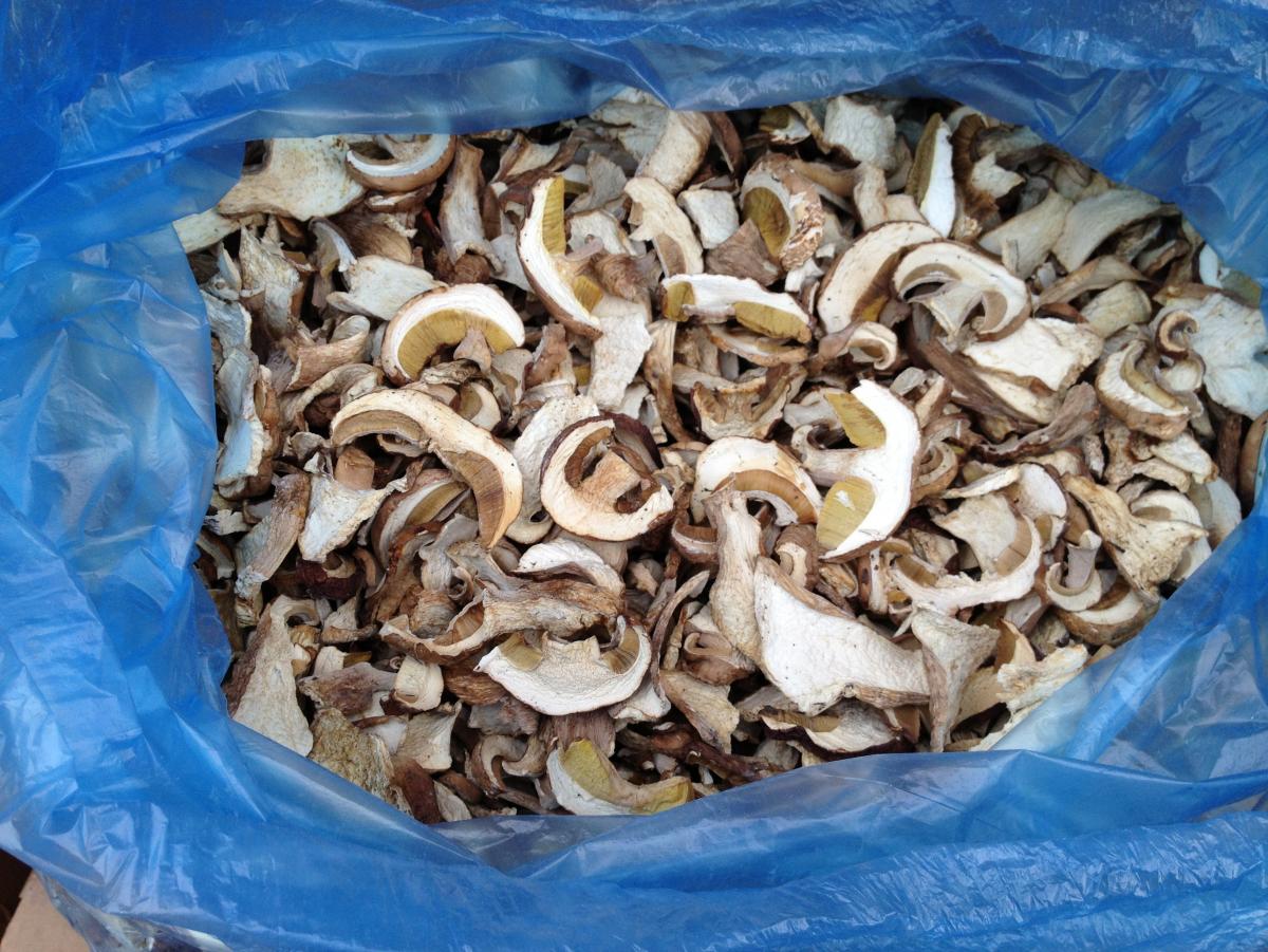 Белые сушеные грибы из Алтая 1сорт