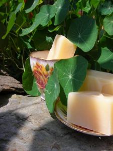 Shampoo & Soap Bars Handcrafted Vegan "Herbal Lights" Shampoo & Soap Bars Handcrafted Vegan "Herbal Lights"