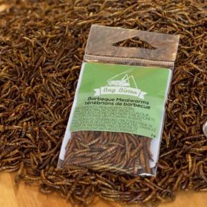 Flavored Mealworms & Crickets