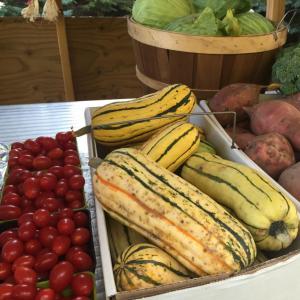 Delicata squash