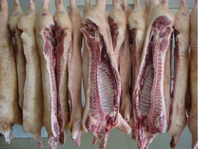 Мясо свинины охлажденное/замороженное