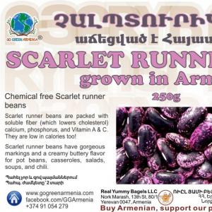 Scarlet runner bean