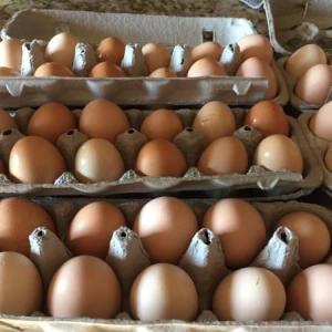 All-Natural & Free-Range Brown Eggs