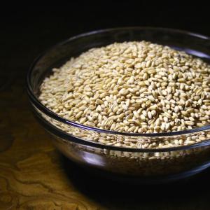 Wheat Berries--Hard White Winter . Multiple product options available: 4 Wheat Berries--Hard White Winter . Multiple product options available: 4
