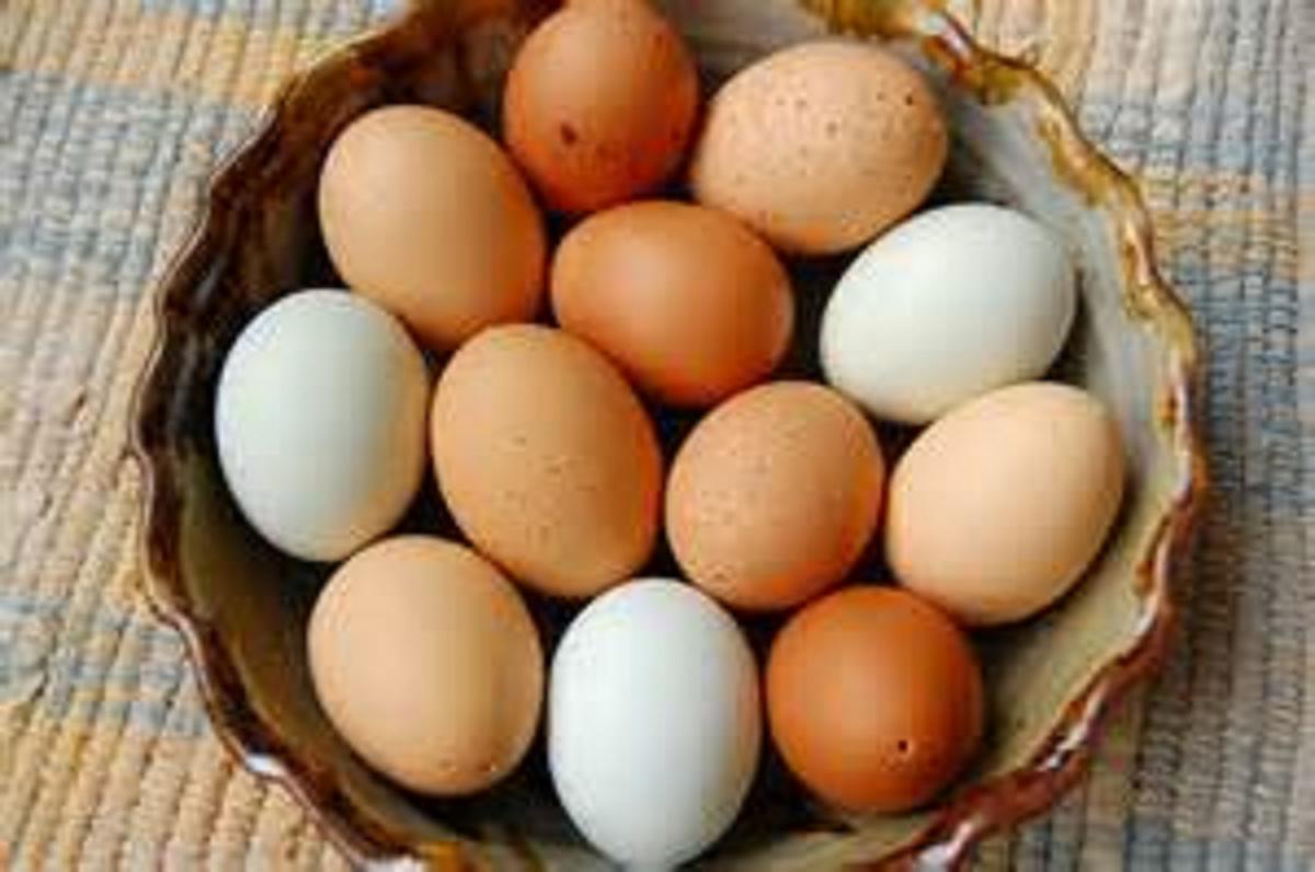 chicken eggs