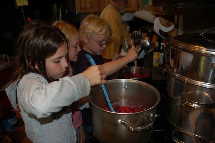 Making raspberry preserves